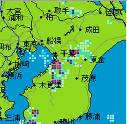 chiba20110730.JPG