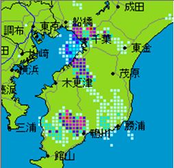 chiba2011730-2.JPG
